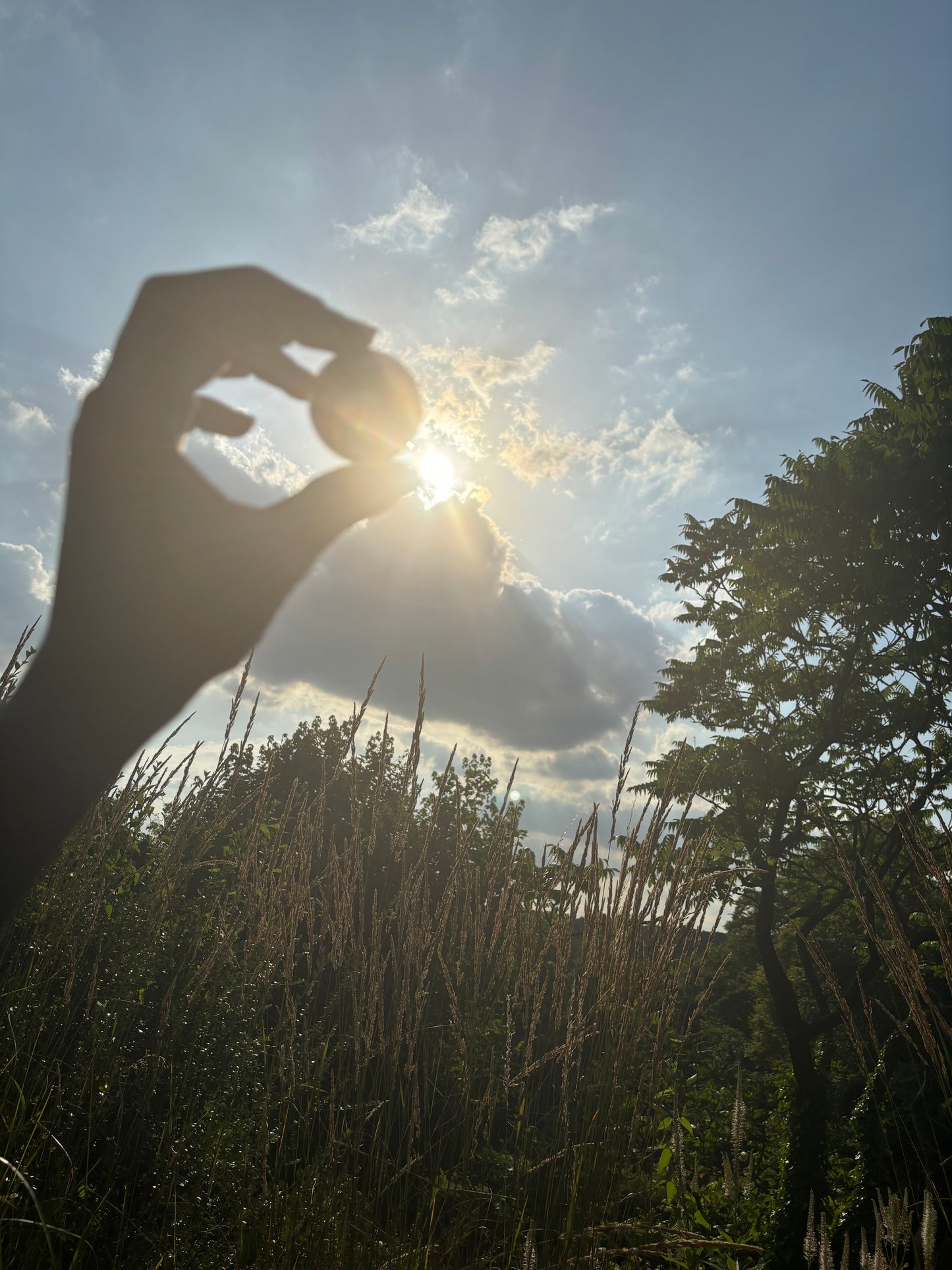 SoftBall - SPF Balm with Shea Butter & Vanilla