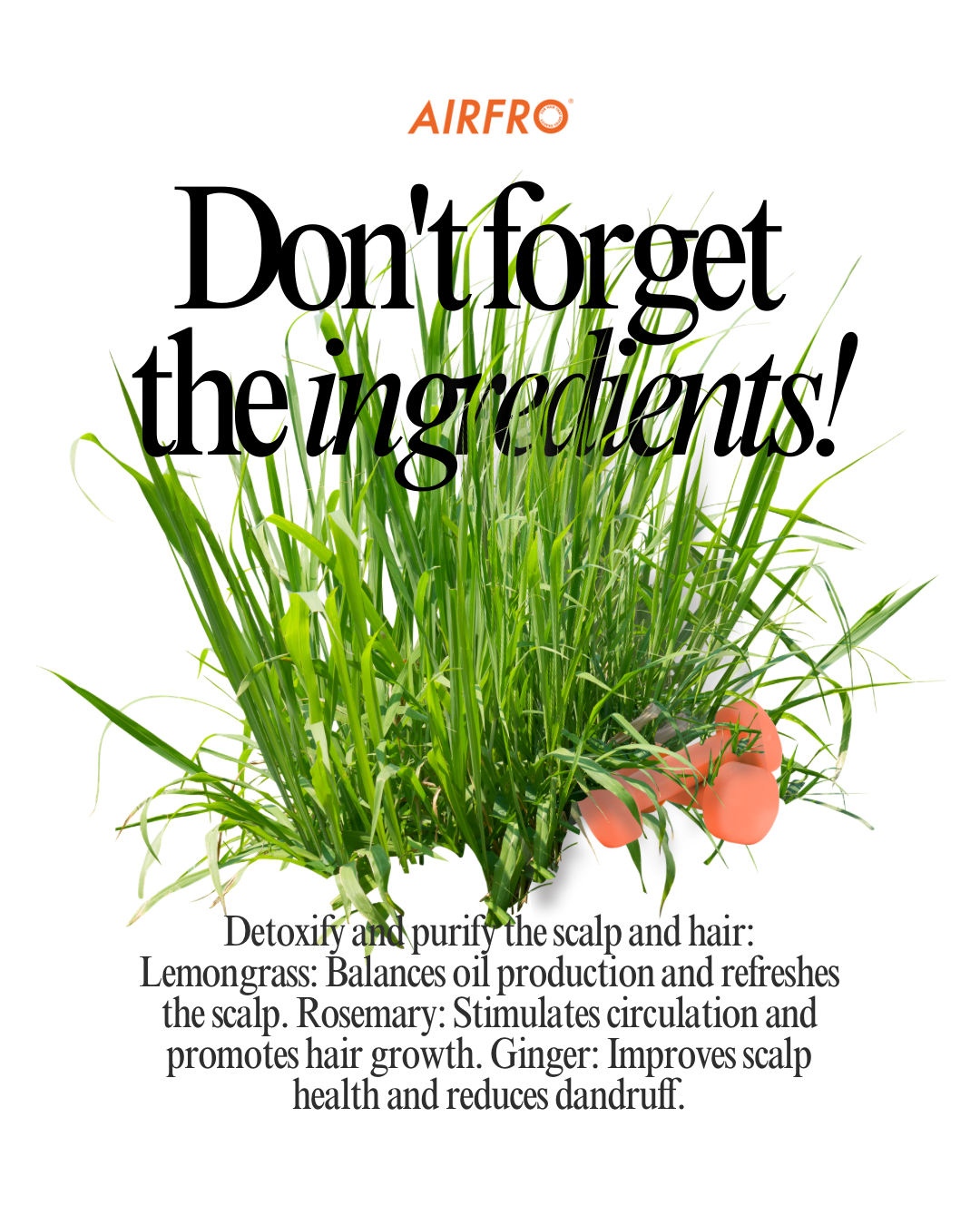 AIR - Clarifying Shampoo with Lemongrass, Rosemary & Ginger for a Detoxifying Cleanse